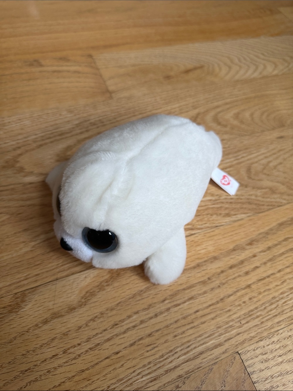 Ty Beanie Boos Icy the White Seal Plush Stuffed Animal